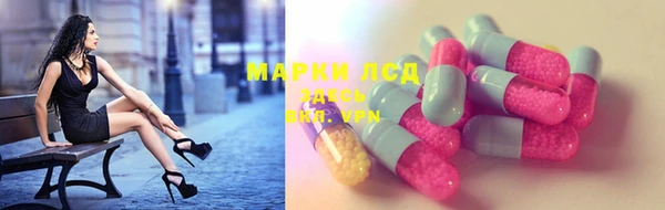 spice Гусев