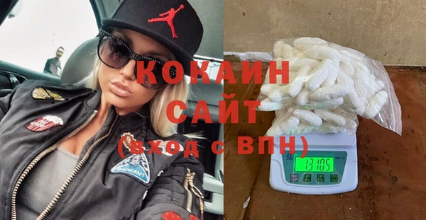 мдпв Гусь-Хрустальный