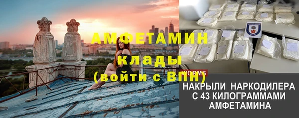 мдпв Гусь-Хрустальный