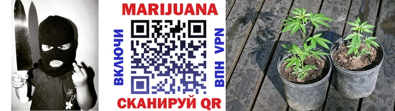 Каннабис планчик  Купить где  Карпинск 
